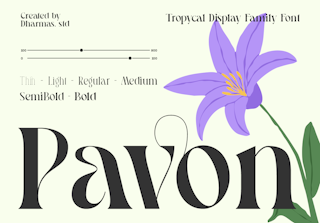 Pavon - Tropical Display Family