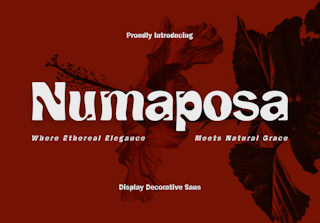 Numaposa
