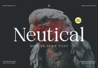 Neutical - 6 Weight Font Family