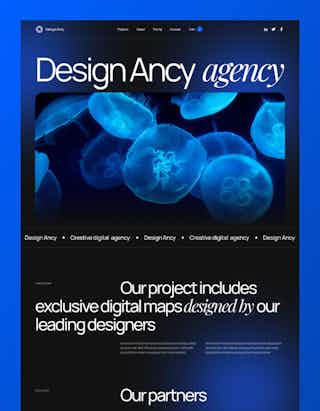 Design Ancy DB by Digital Butlers