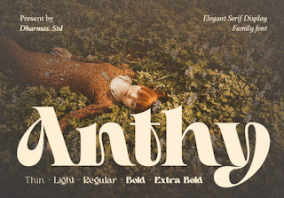 Anthy - Modern Decorative Family Font