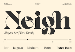 Neigh - Modern Vintage Family Font