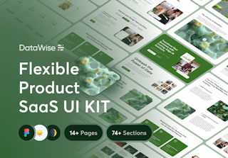 DataWise - Flexible Product SaaS UI KIT